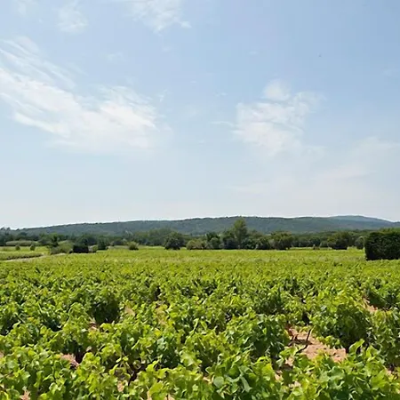 Saint-vincent Szálloda