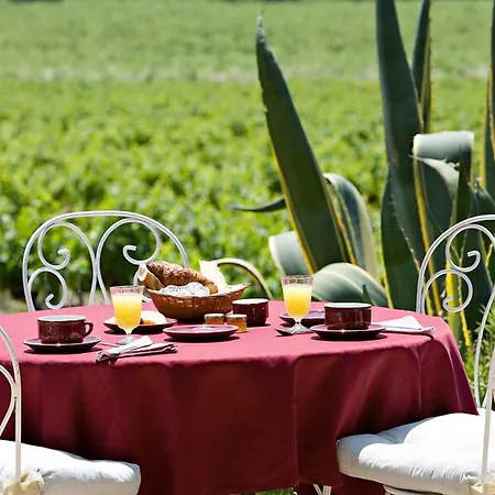 Saint-vincent 3* Сен-Тропе