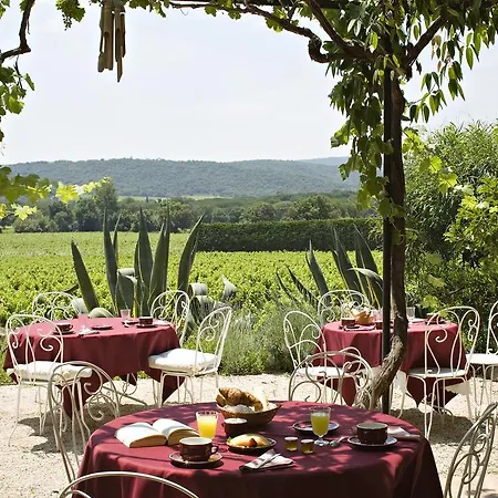 Saint-vincent Сен-Тропе