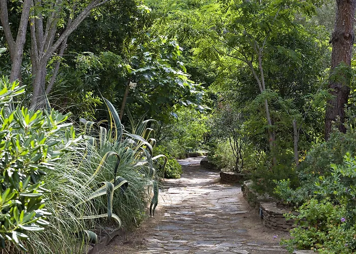 Saint-vincent Ramatuelle